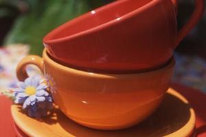 家計を助ける！電気代を節約する定額料金制度の魅力【完全ガイド】