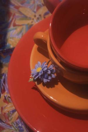 ぜひ利用してほしい引越し業者です