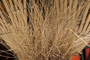 技術を体感する福岡のハウスクリーニング