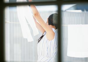 広島にある写真スタジオのガーベラを紹介