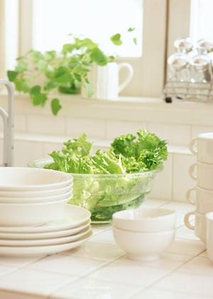 大阪のゴミ屋敷をきれいにしてもらう